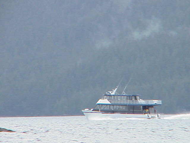 High speed catamaran going up Behm Canal in Misty Fiords